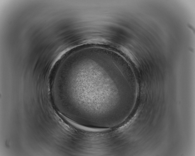 X0000096470923200801311531
