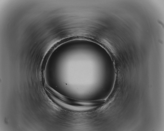 X0000096470924200801311531