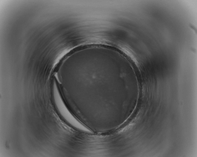 X0000096470925200801311531