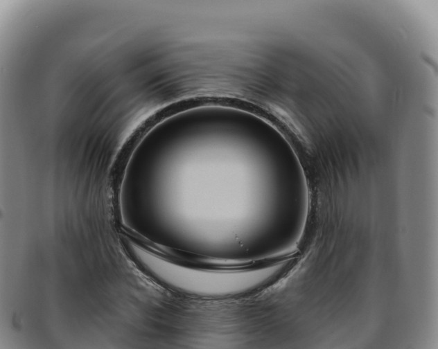 X0000096470926200801311531