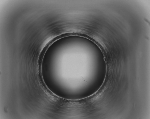 X0000096470927200801311531