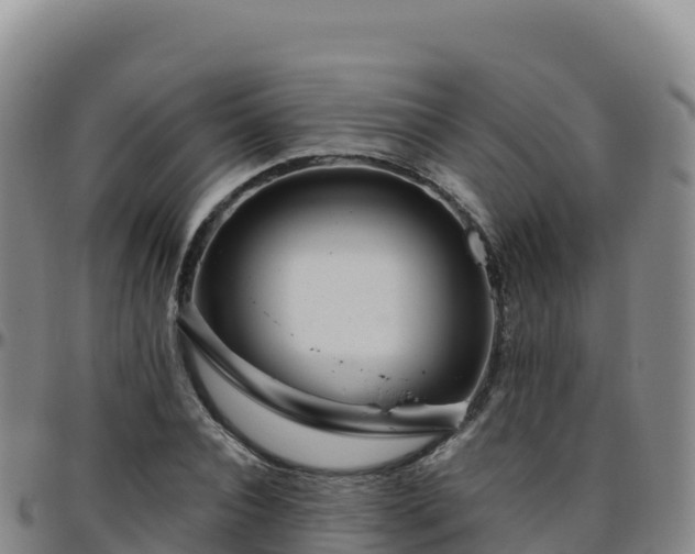 X0000096470928200801311531