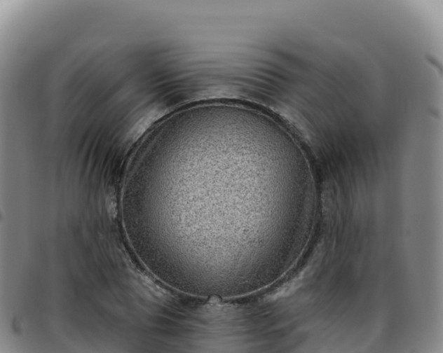 X0000096470929200801311531