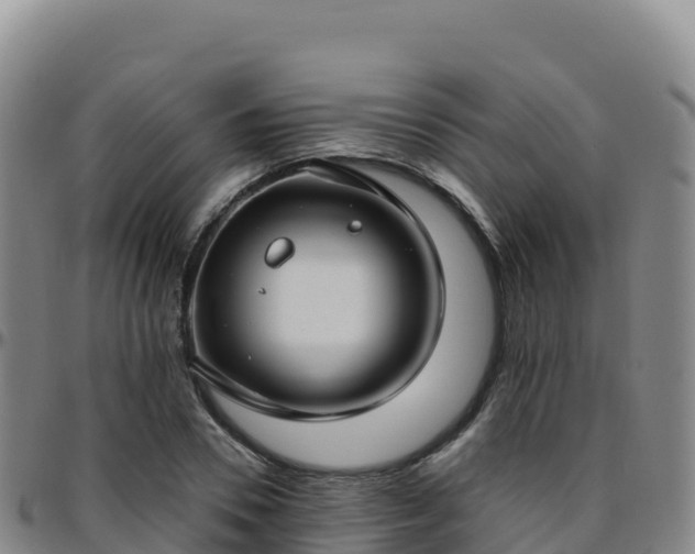 X0000096470930200801311531