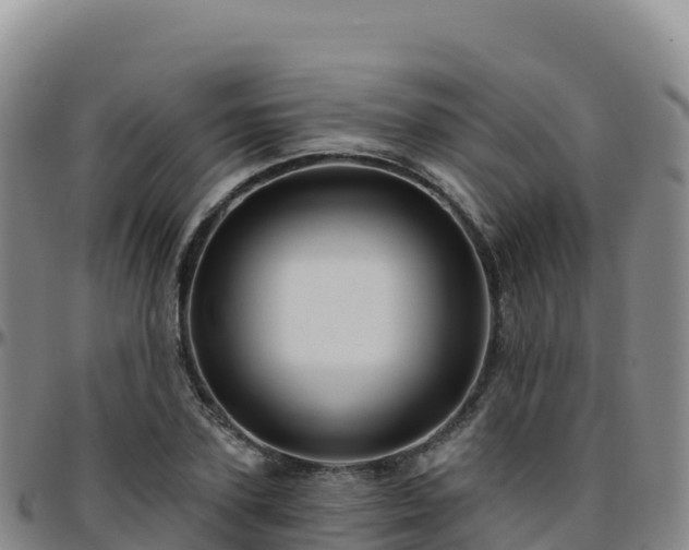 X0000096470931200801311531
