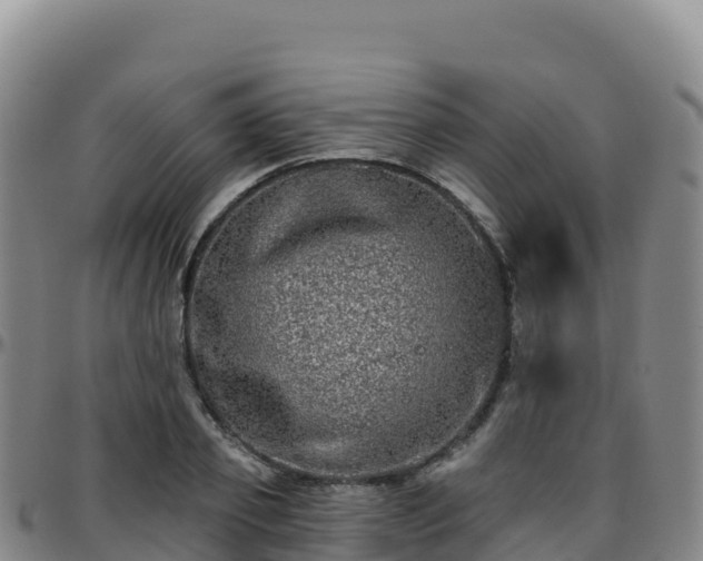 X0000096470933200801311531