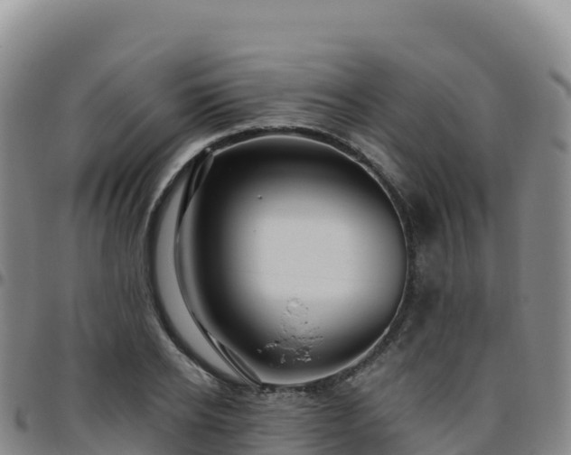 X0000096470934200801311531