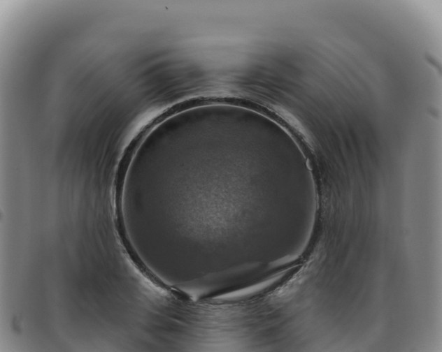 X0000096470935200801311531