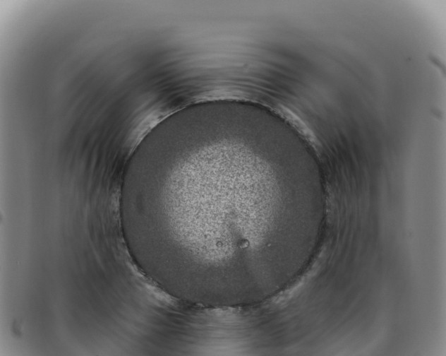 X0000096470937200801311531
