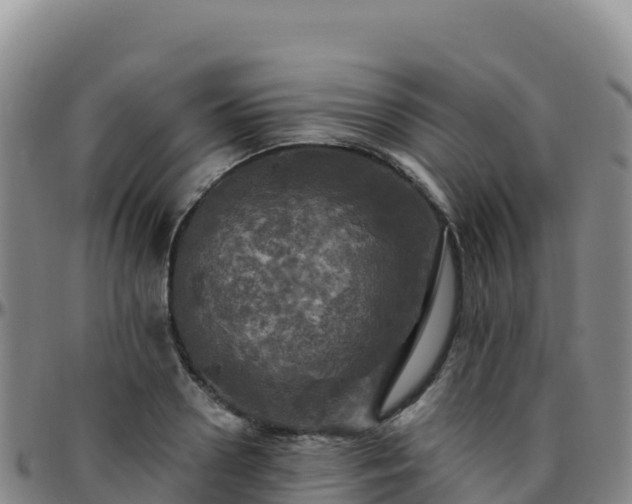 X0000096470938200801311531
