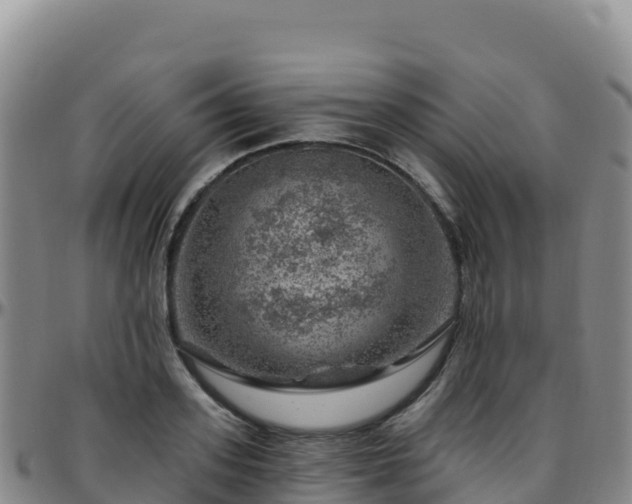X0000096470939200801311531