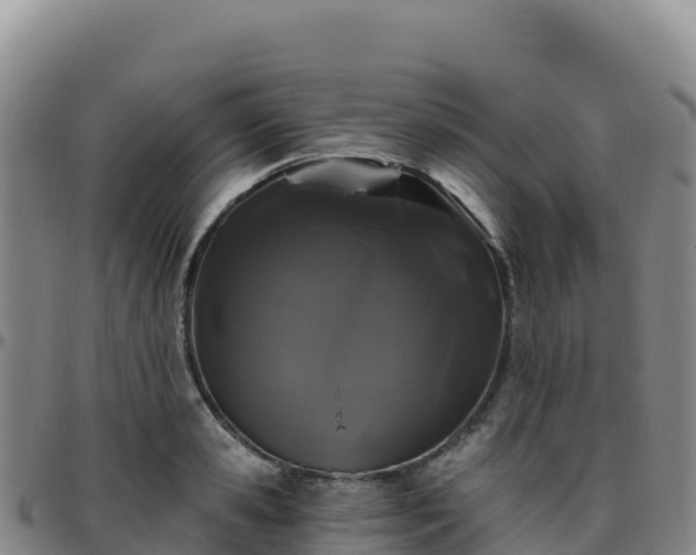 X0000096470941200801311531