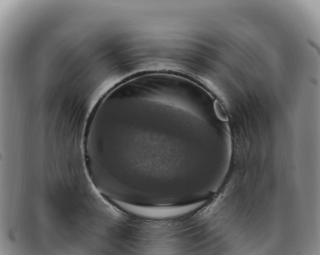 X0000096470943200801311531