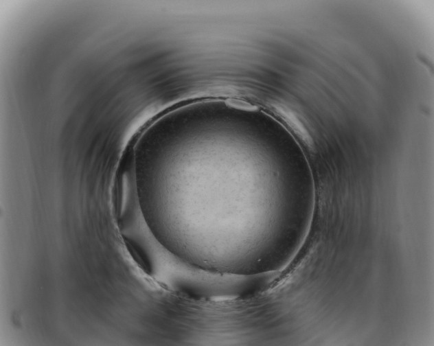 X0000096470944200801311531