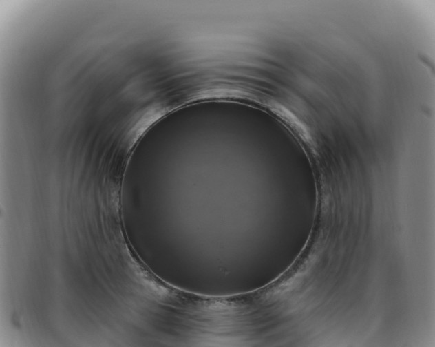 X0000096470945200801311531