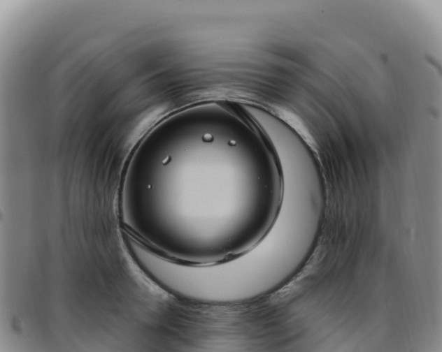 X0000096470946200801311531