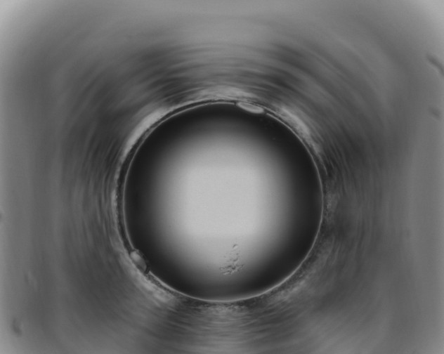 X0000096470947200801311531