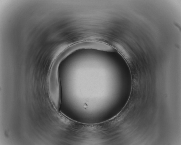 X0000096470948200801311531