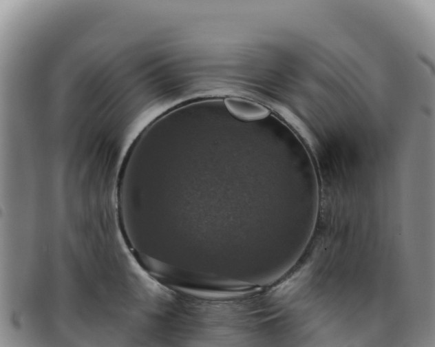 X0000096470951200801311531