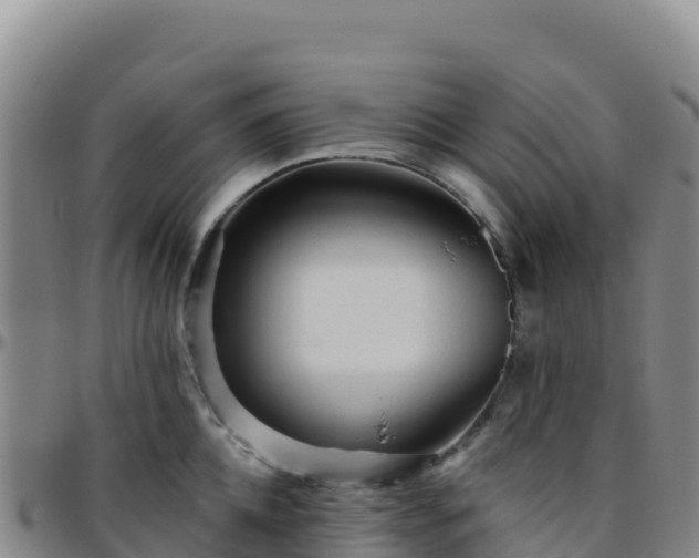 X0000096470952200801311531