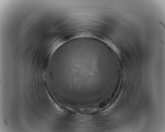 X0000096470953200801311531