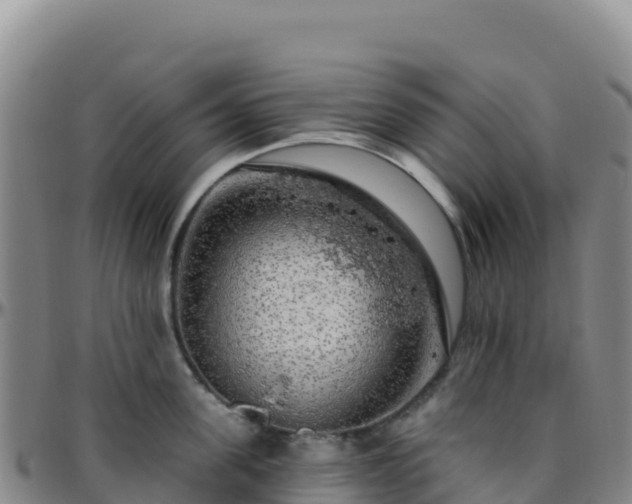 X0000096470955200801311531