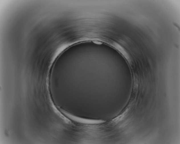 X0000096470958200801311531