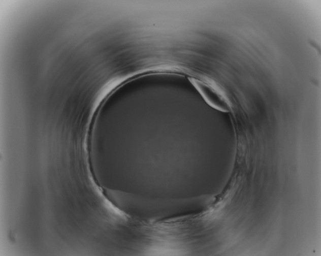 X0000096470959200801311531