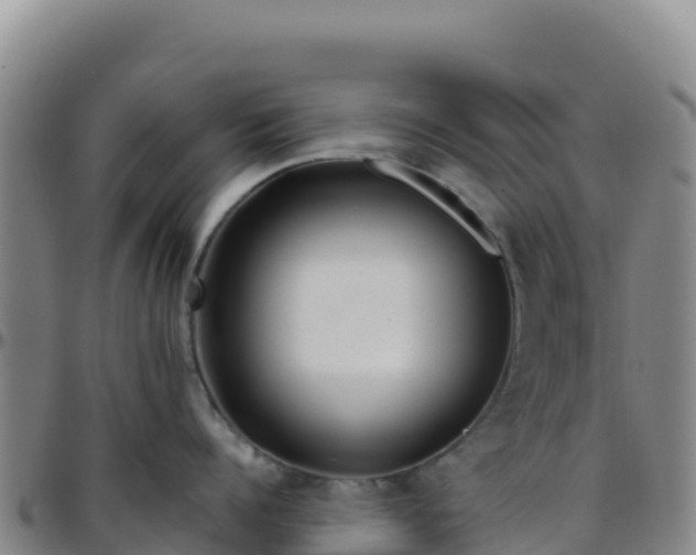 X0000096470960200801311531