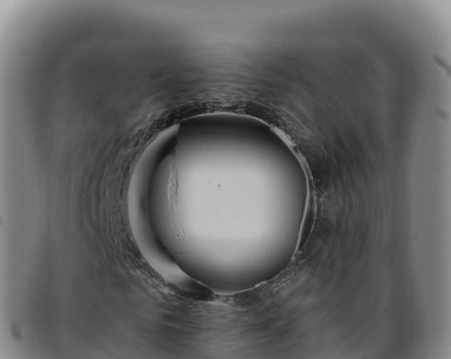 X0000096470961200801311531