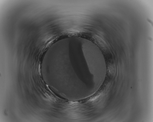 X0000096470964200801311530