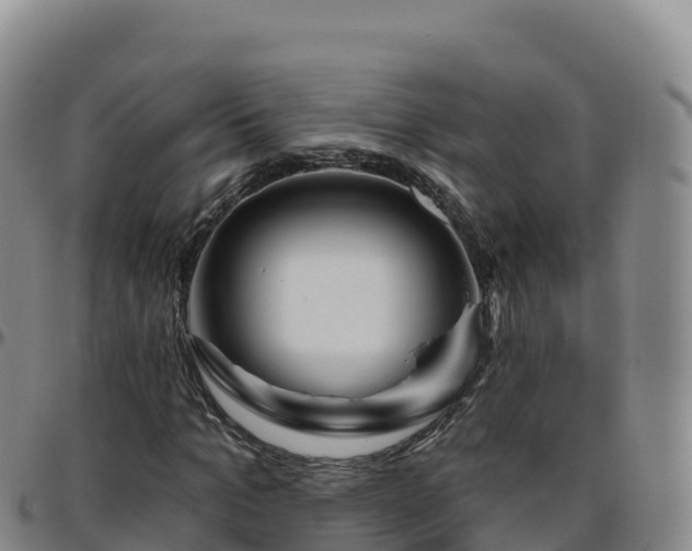 X0000096470965200801311530