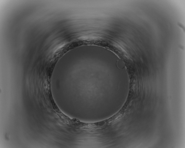 X0000096470966200801311530