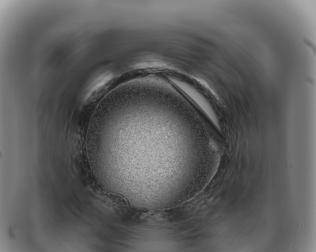 X0000096470967200801311530