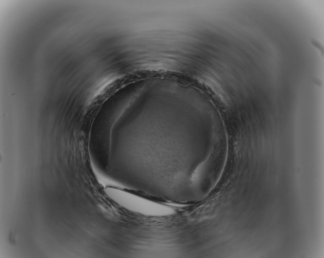 X0000096470968200801311530