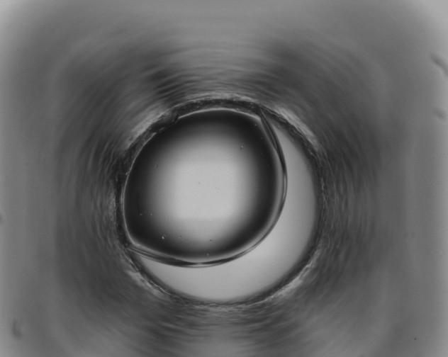 X0000096470969200801311530