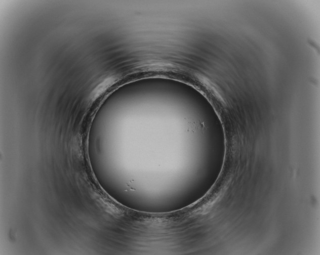 X0000096470970200801311530