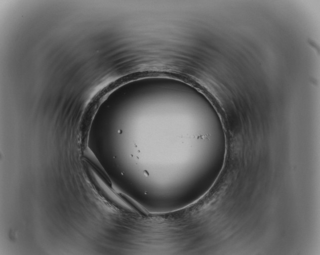 X0000096470971200801311530