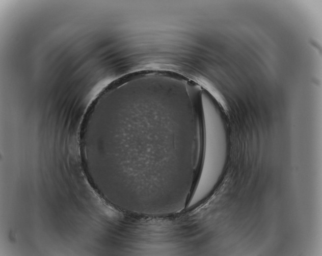 X0000096470972200801311530