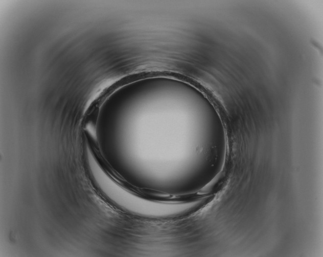 X0000096470973200801311530