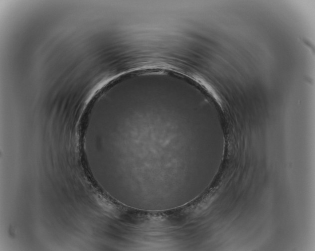 X0000096470975200801311530