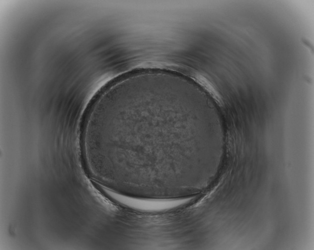 X0000096470976200801311530