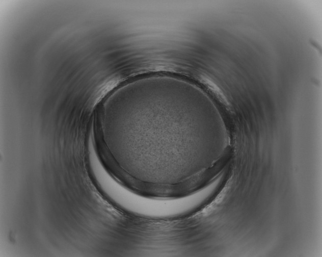 X0000096470977200801311530