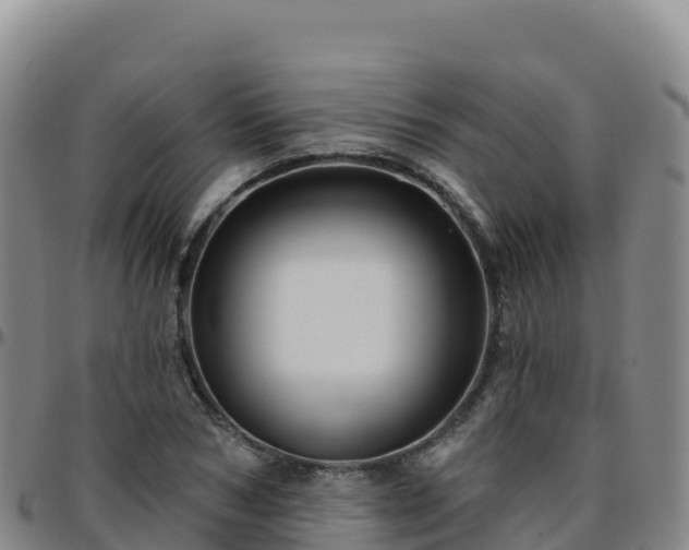 X0000096470978200801311530