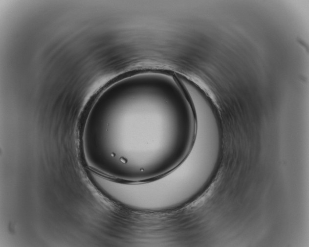 X0000096470981200801311530