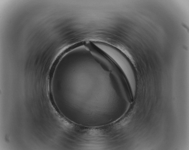 X0000096470984200801311530