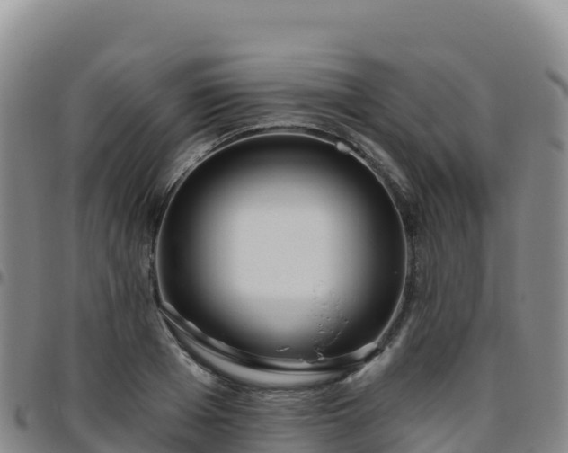X0000096470985200801311530