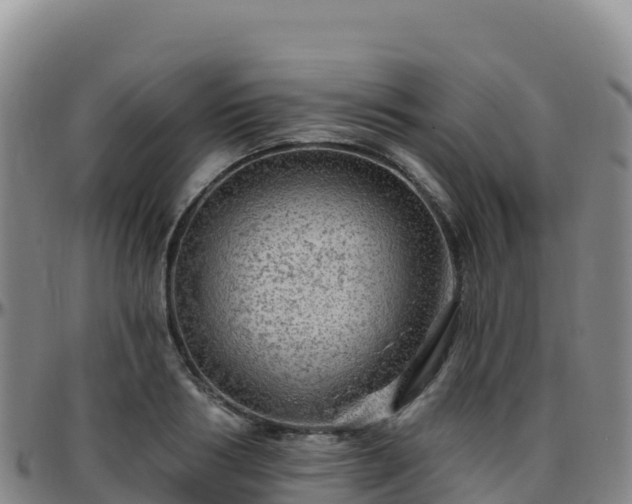 X0000096470986200801311530