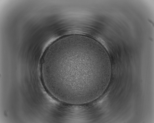 X0000096470987200801311530