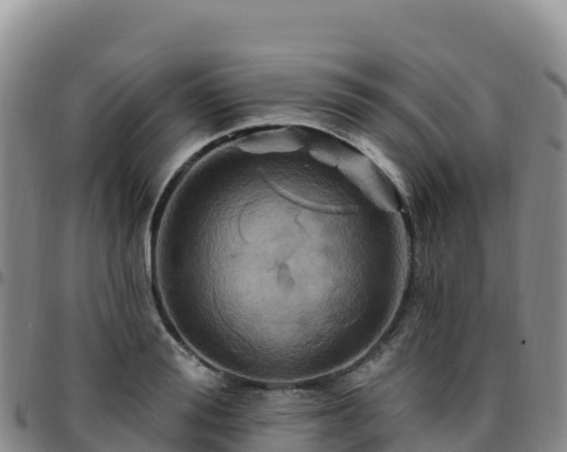 X0000096470988200801311530